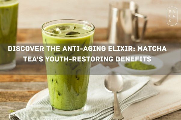 Discover the Anti-Aging Elixir: Matcha Tea's Youth-Restoring Benefits - Palak Notes