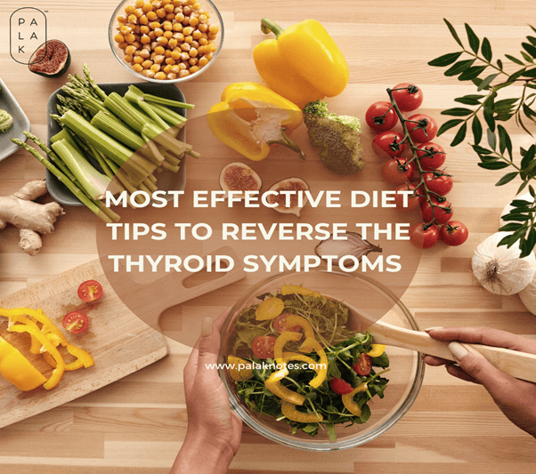 Most Effective Diet Tips to Reverse the Thyroid Symptoms - Palak Notes