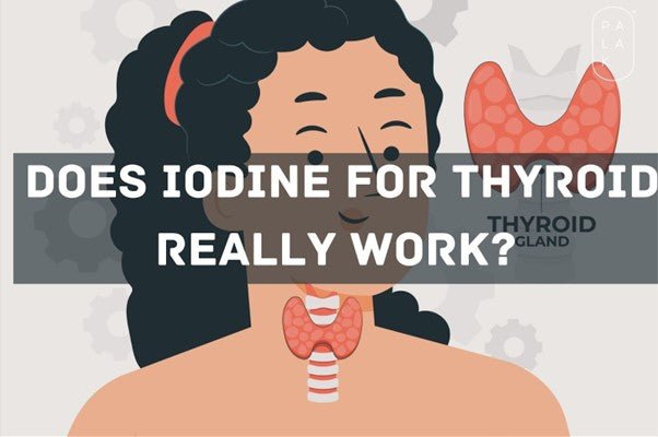 The Role of Iodine for Thyroid: Everything You Need to Know - Palak Notes