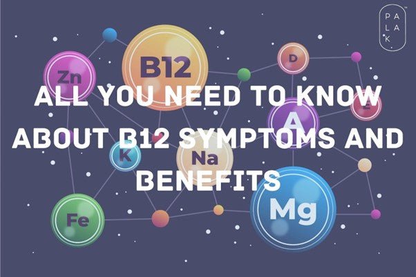 All You Need to Know about B12 Symptoms & Benefits - Palak Notes