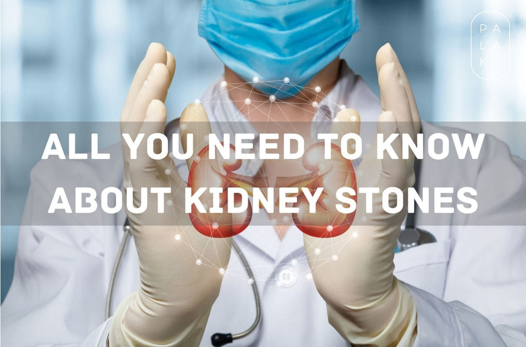 All You Need to Know About Kidney Stones - Palak Notes