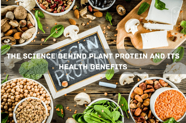 The Science Behind Plant Protein and Its Health Benefits - Palak Notes